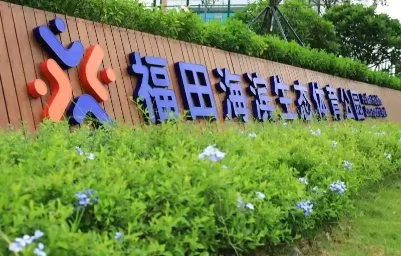 如何选择适合篮球康复训练的器材_2